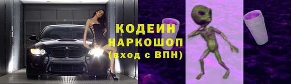 хмурый Алзамай