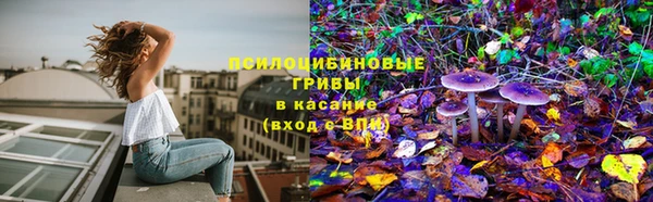 стафф Абинск