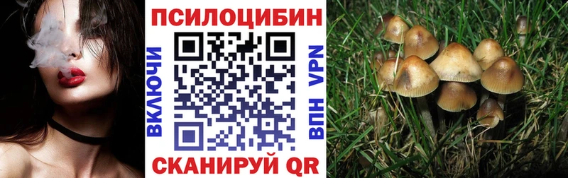 Галлюциногенные грибы Psilocybine cubensis  наркота  Змеиногорск 